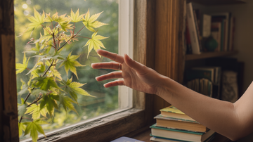 5-Minute Focus Reset Rituals That Work (When Your Brain is All Over the Place)